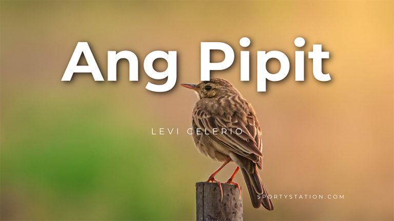 Ang Pipit Lyrics – Pilita Corrales